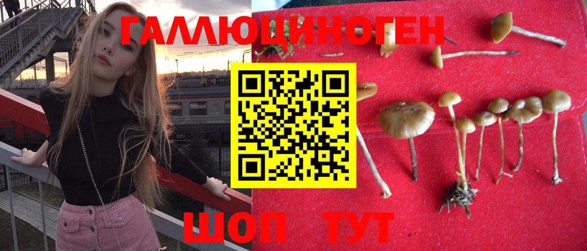 Псилоцибиновые грибы Psilocybe Златоуст